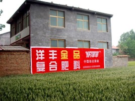上栗如何让墙体广告展现最大化效果